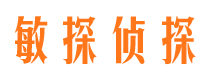 大城市调查公司